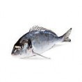 /products/prazma-kralovska-cefalonia-bio-f4-chlaz-vaz-1x-cca-300-500g/